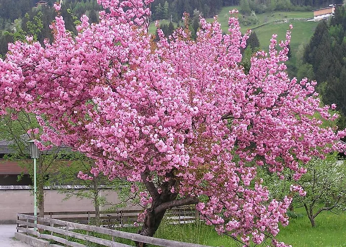 Haus Sonnegg Φίνκενμπεργκ