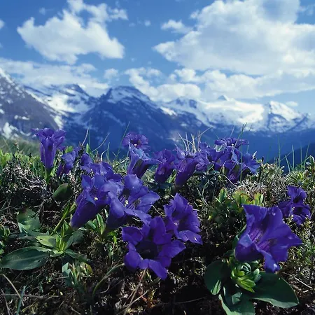 Maison d'hôtes Haus Sonnegg 3*