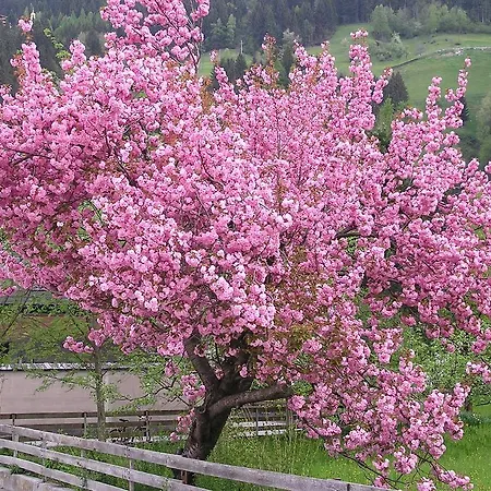 Haus Sonnegg Finkenberg